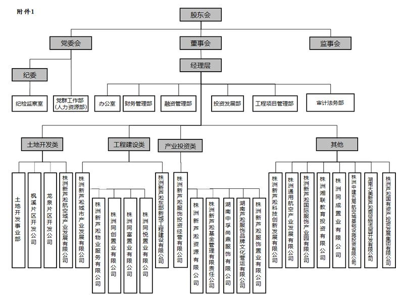 新蘆淞集團(tuán)組織架構(gòu)